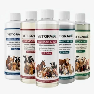 Complete Horse Protection Bundle Vet Grade